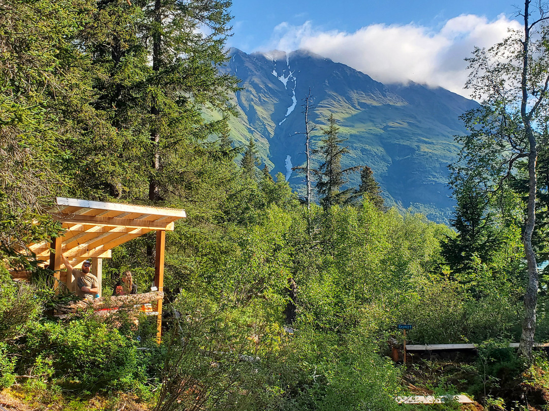 Moose Pass Adventures-穆斯帕斯必去景点