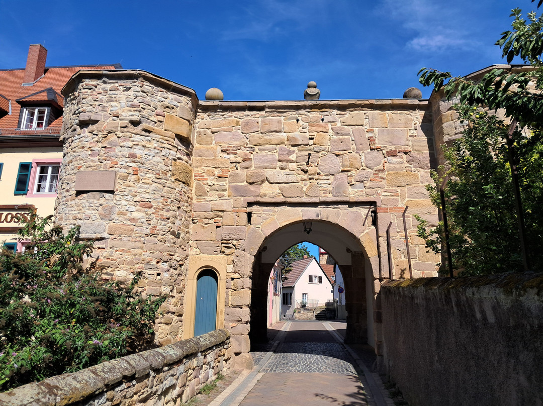 Museum der Stadt Alzey景点图片