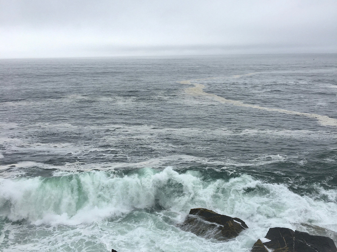 Supernova Tours Inc.-哈利法克斯必去景点