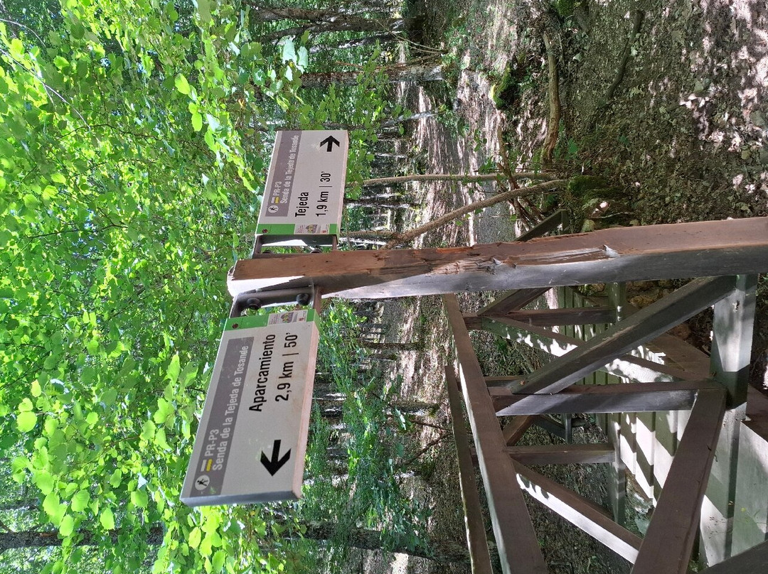 Tejeda de Tosande-La Estacion必去景点