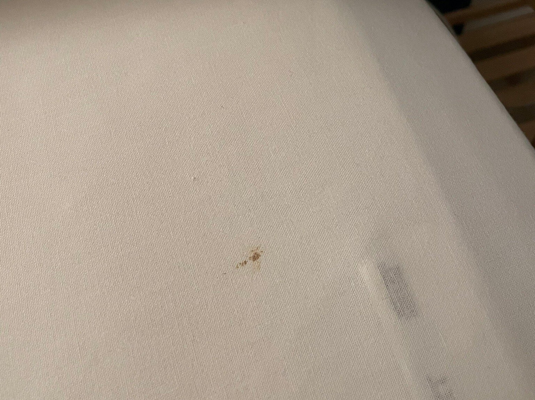 B&B Viale Dei Pini主图