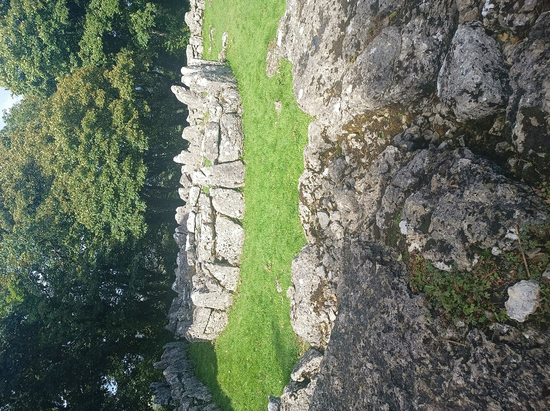 Din Lligwy景点图片