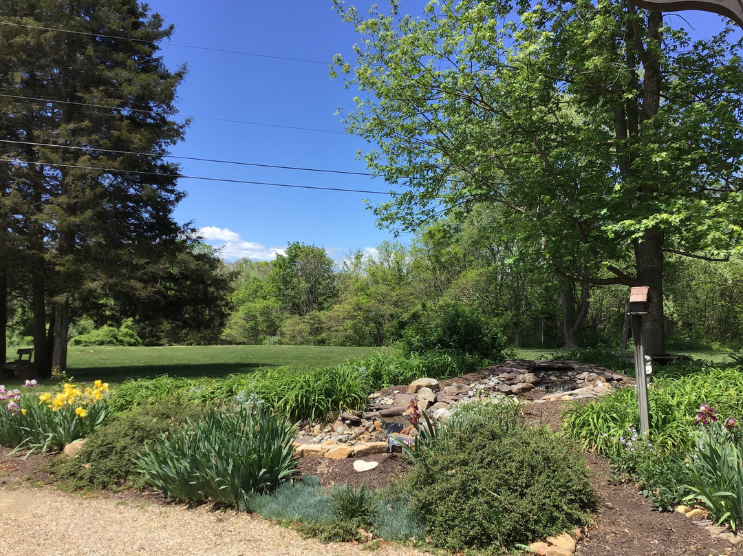 Old Massanutten Lodge主图