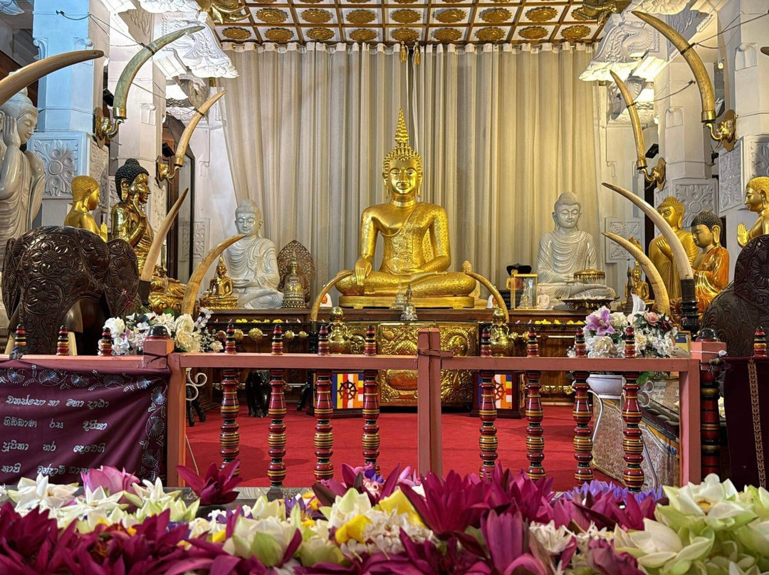 Ro Ceylon Tours-贝卢瓦拉必去景点