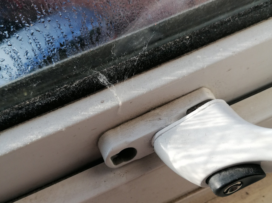 Tennyson Court主图