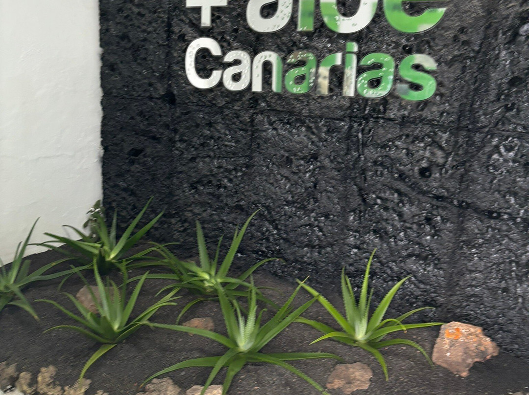 Museo Del Aloe Vera-Teguise必去景点