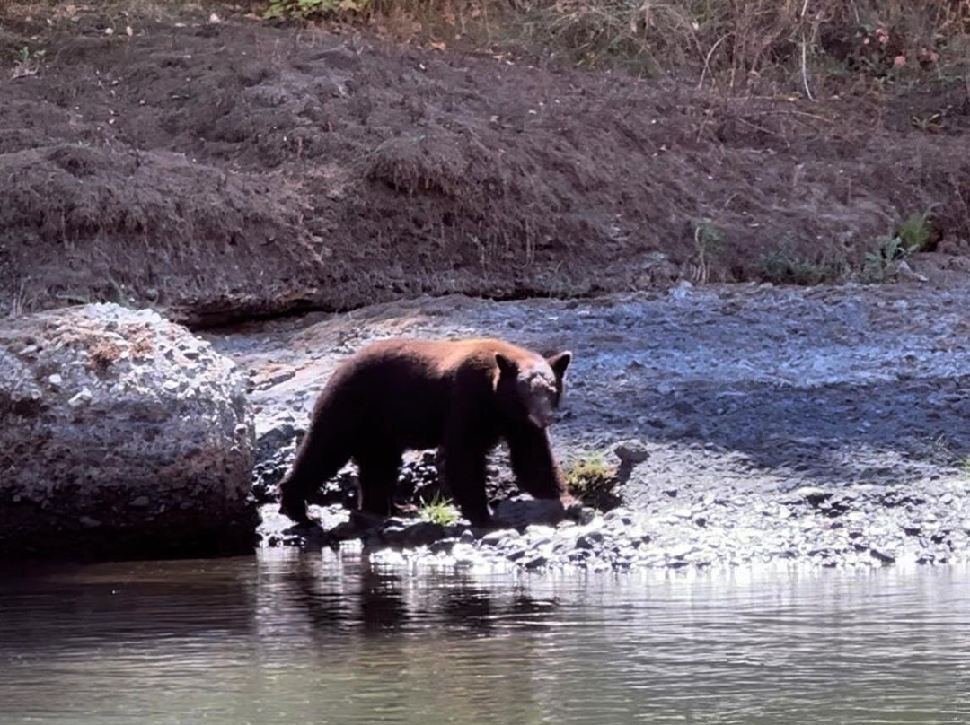 Orange Torpedo Rafting Trips-Merlin必去景点
