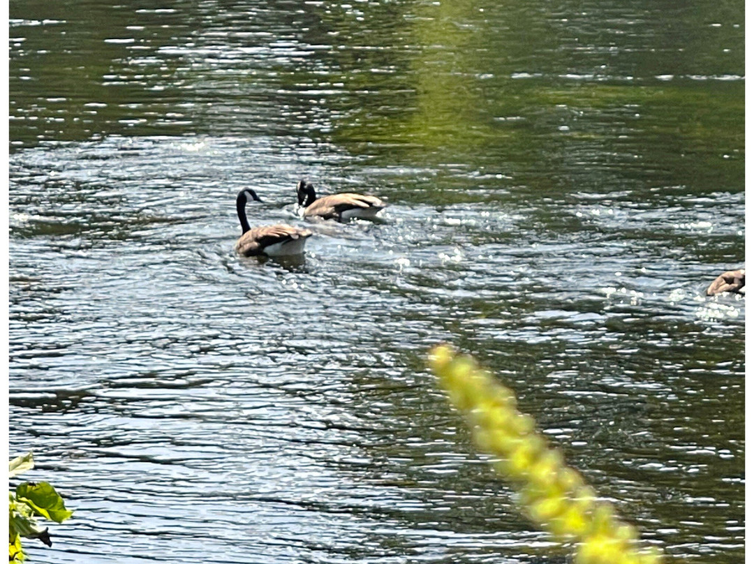 Beardsley Park | Canoe Launch-埃尔克哈特必去景点