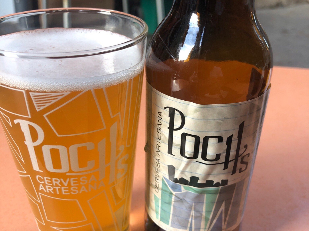 Poch's Microcerveceria景点图片