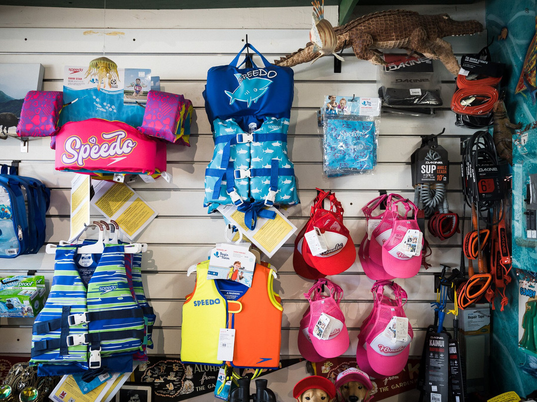 Pedal 'n Paddle-哈纳雷伊必去景点