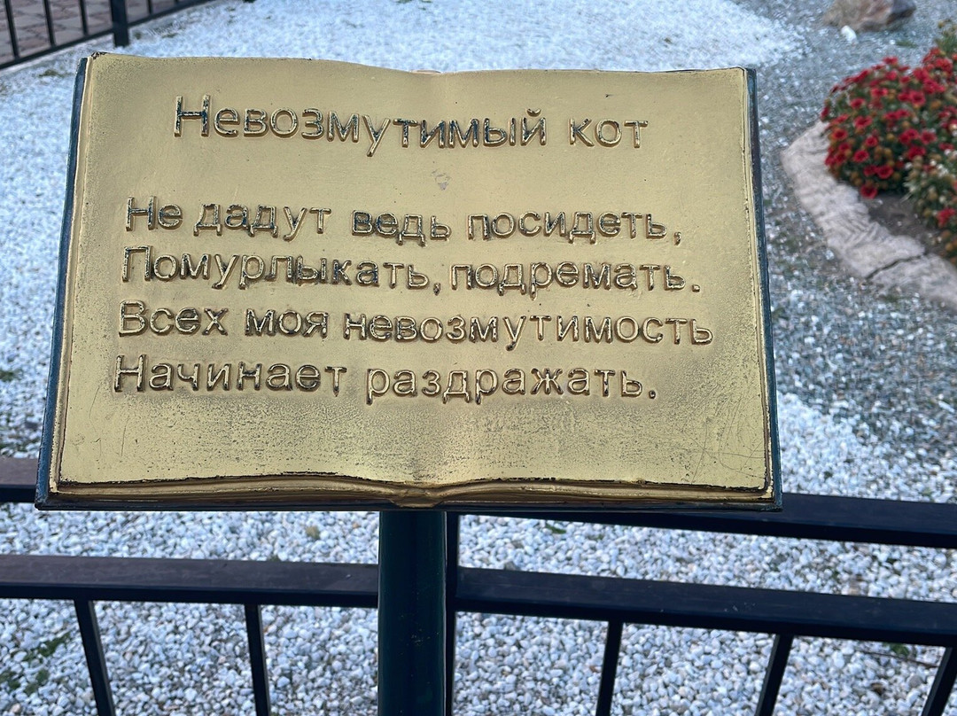Amur River Embankment景点图片