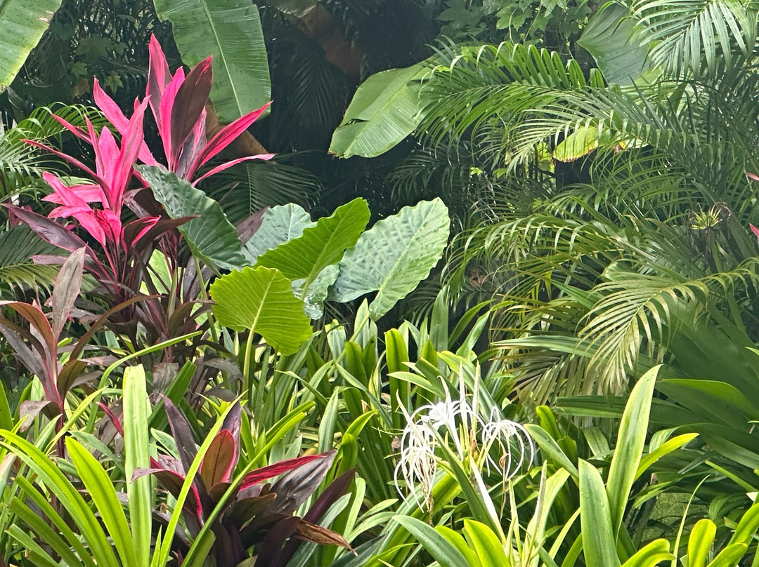 Nalanda Retreat Goa主图