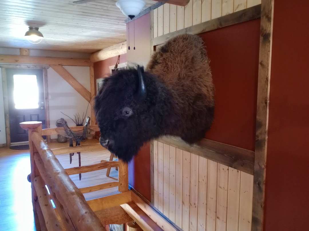 Arctic Divide Lodge主图