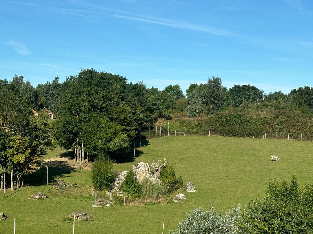 Chessington Safari Hotel主图