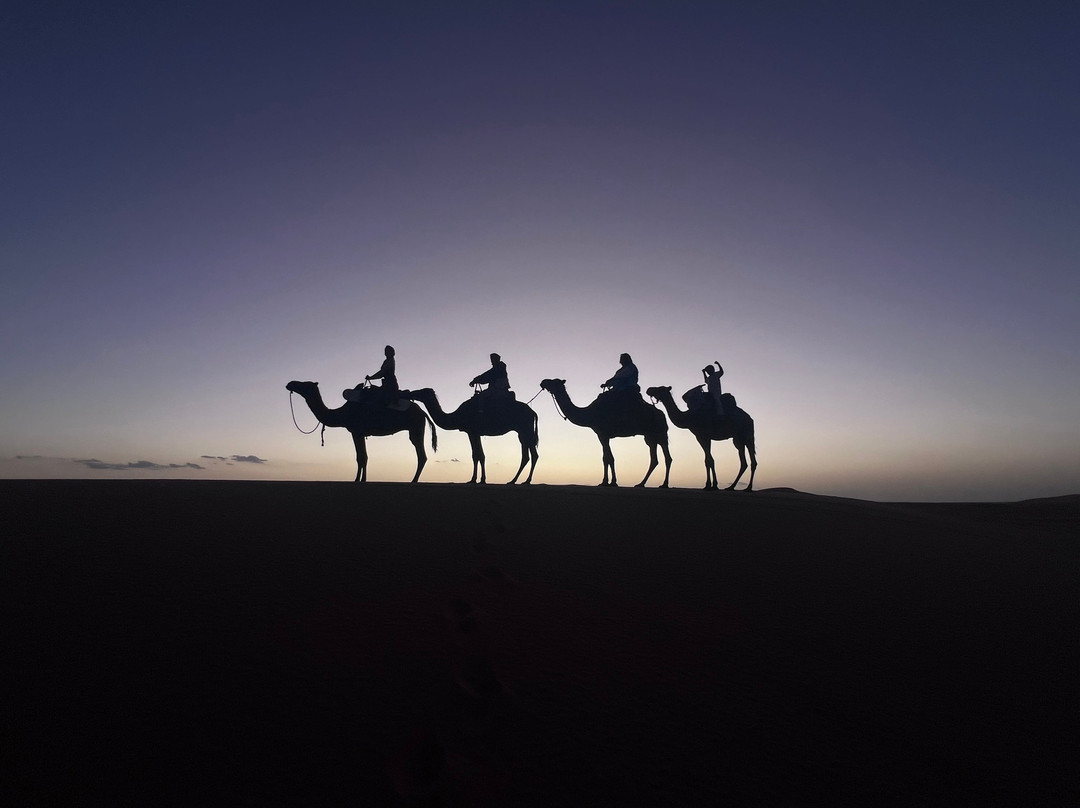 Morocco Tour Companies-非斯必去景点