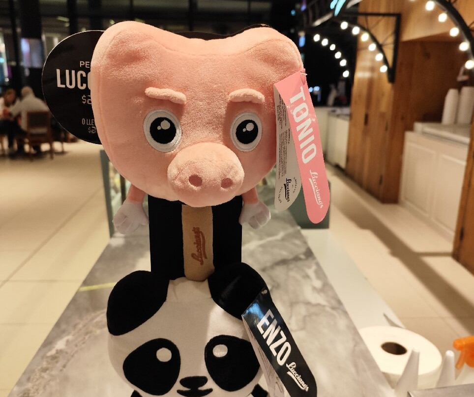 Paseo Aldrey Shopping-马德普拉塔必去景点