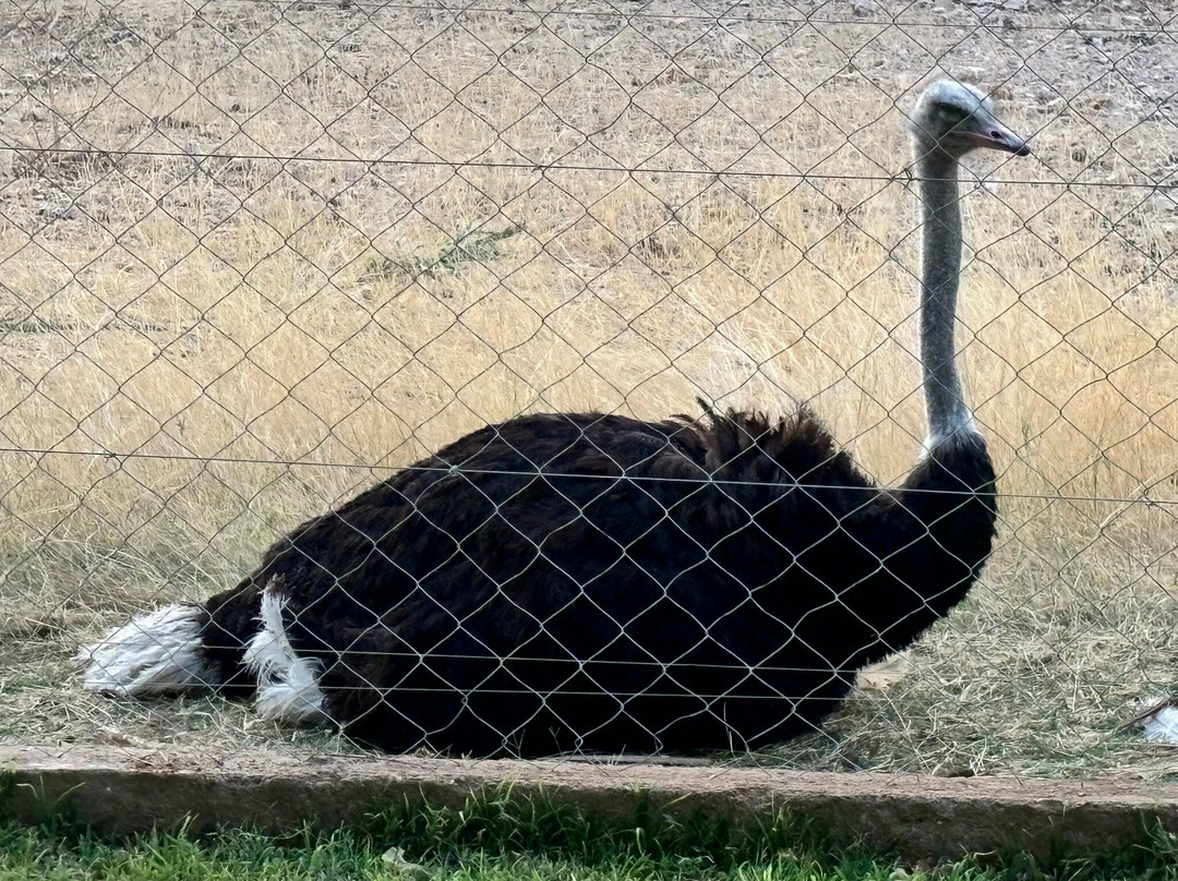 Etotongwe Lodge主图