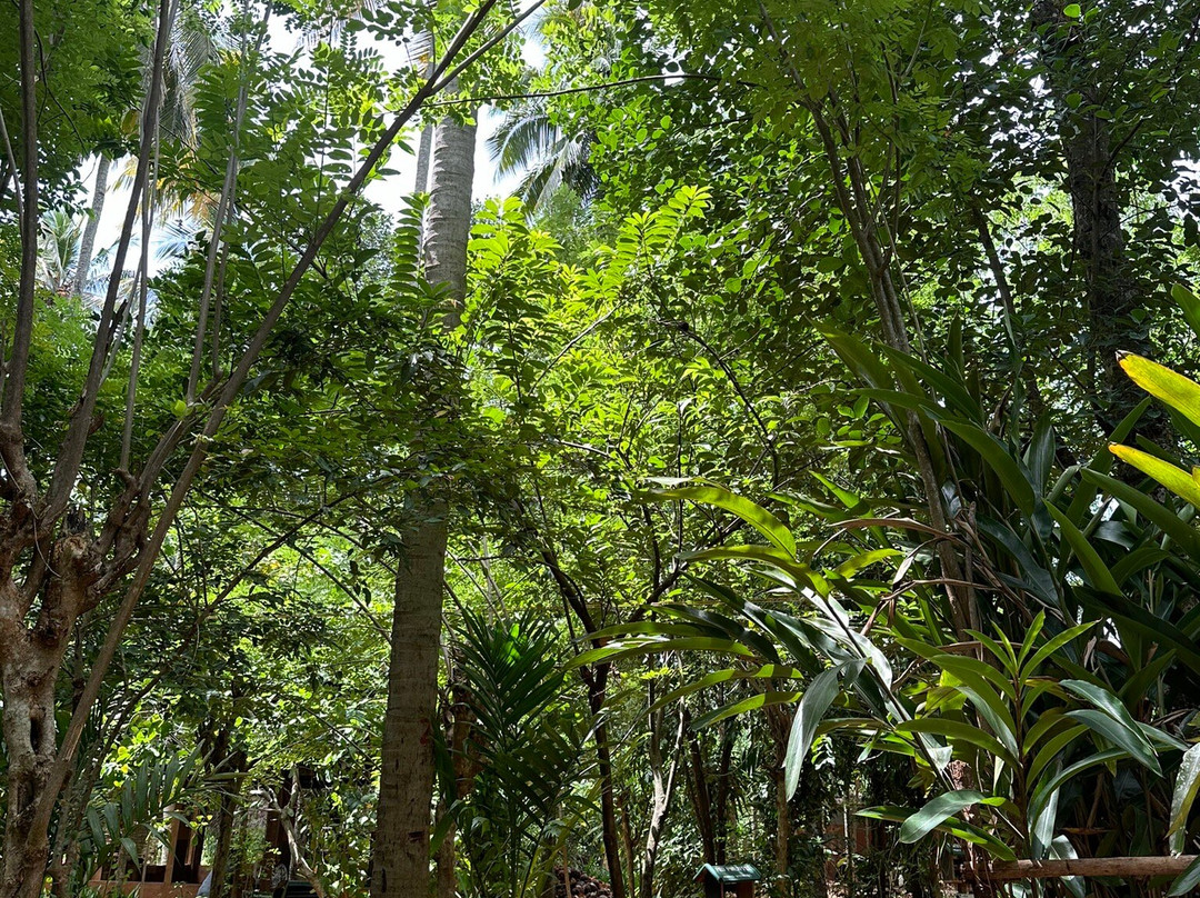 Ceylon Kls Tours-奴娃拉伊利雅必去景点