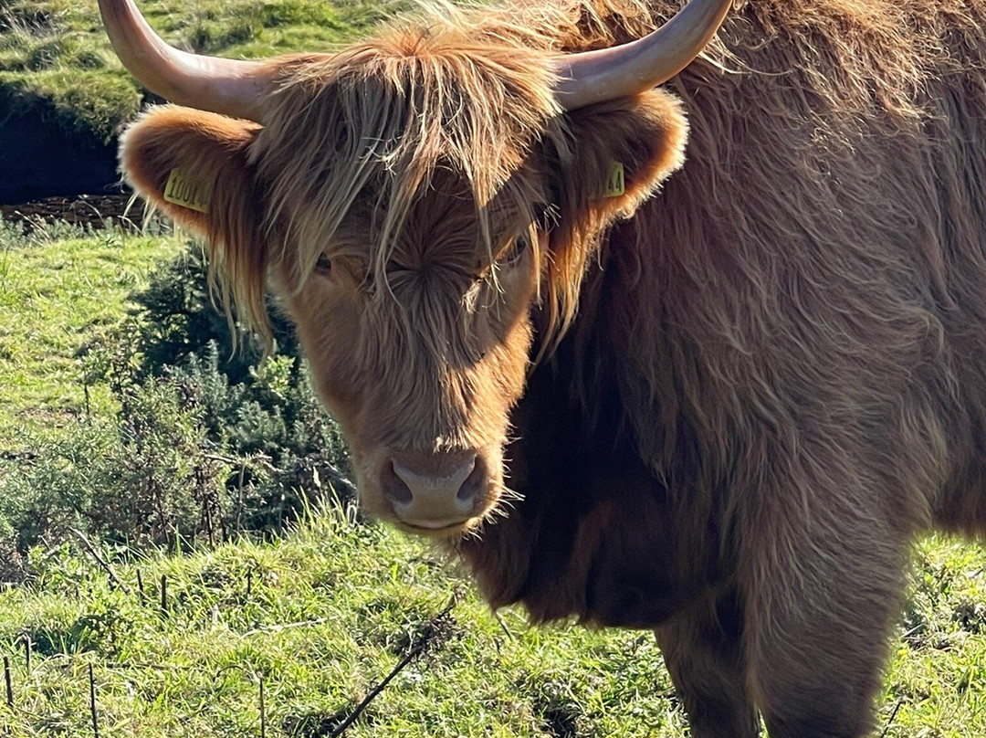 Trotternish B&B主图