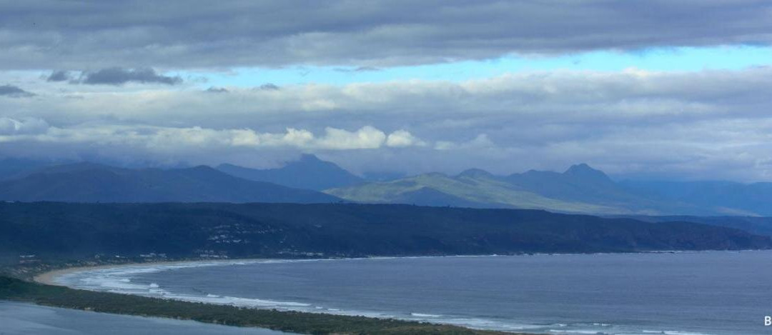 22 Julia Avenue B&B主图