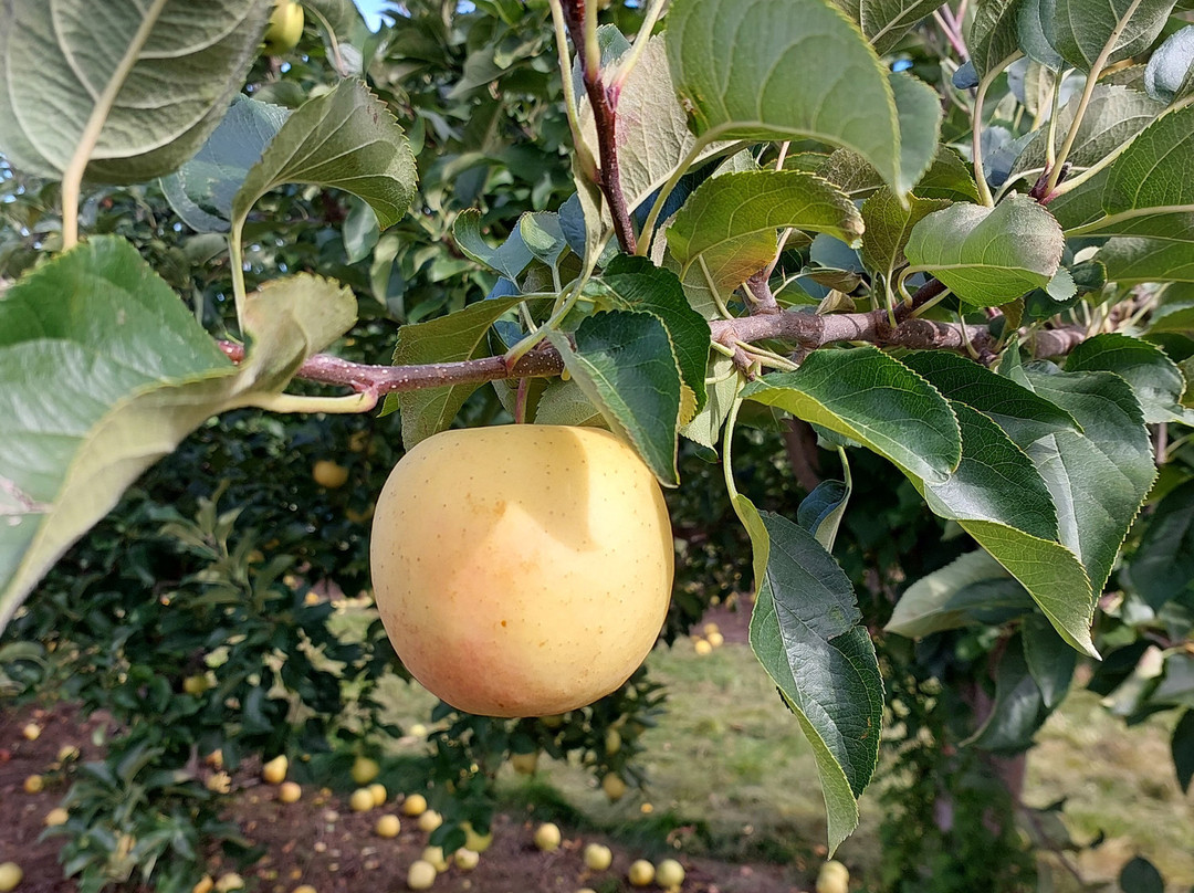 La Ferme Genest-Saint-Nicolas必去景点