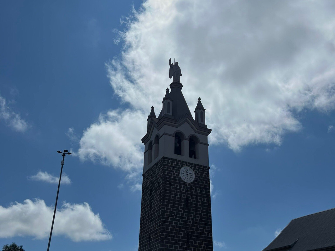 Santuario N S do Caravaggio景点图片