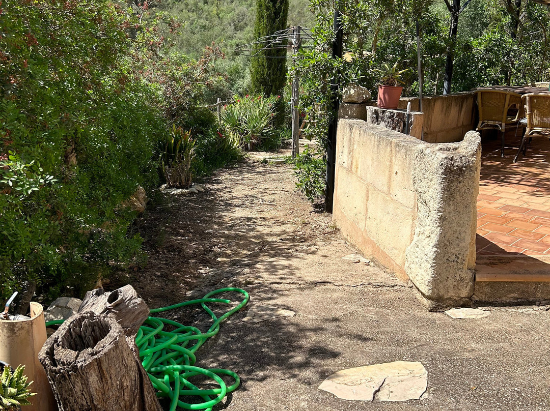 Finca Son Torrat主图