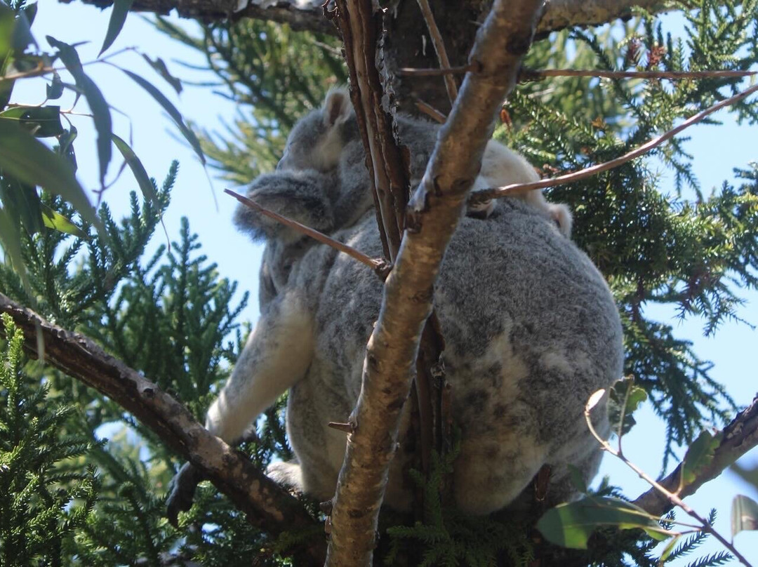 Magnetic Island Forts Walk-Magnetic Island必去景点