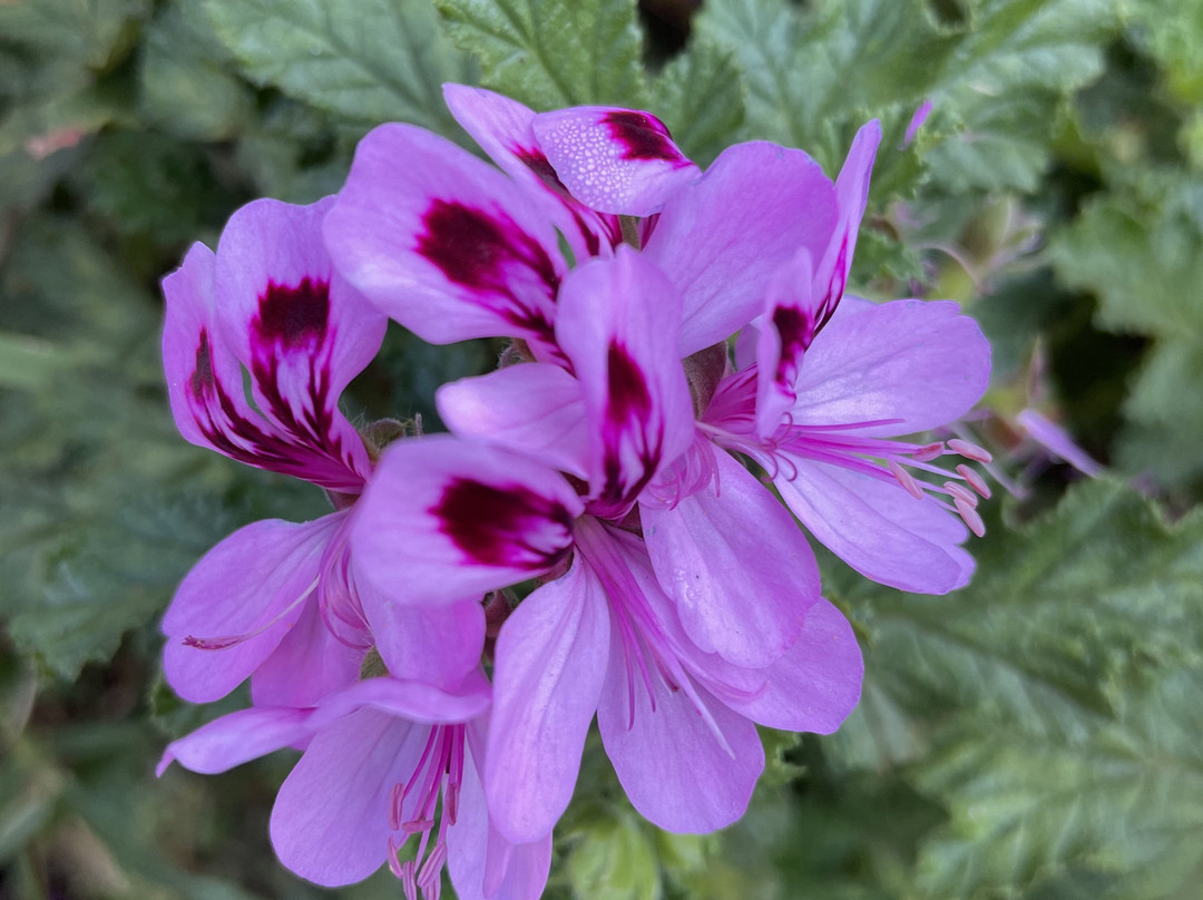Wickham Court Playground-Heyfield必去景点