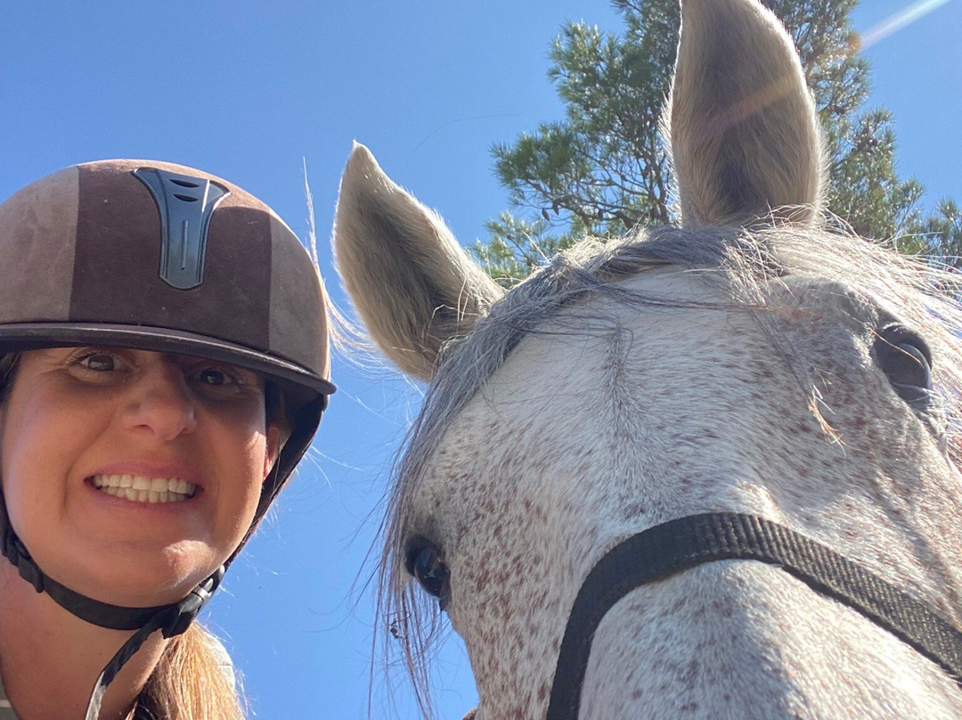 Horse Aventure-Saint-Bauzille-de-Montmel必去景点