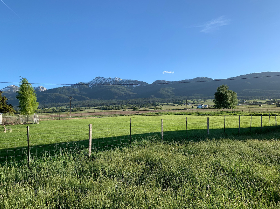 Barking Mad Farm B & B主图