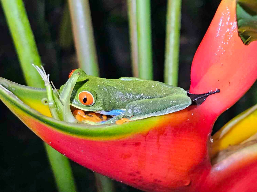 Guanacaste Adventure & Travel景点图片