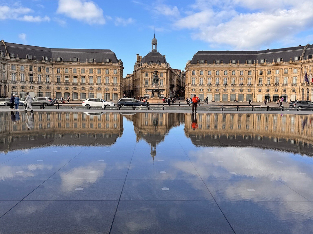 Vieux Bordeaux景点图片