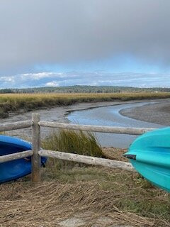 Scarboro Marshes-斯卡伯勒必去景点