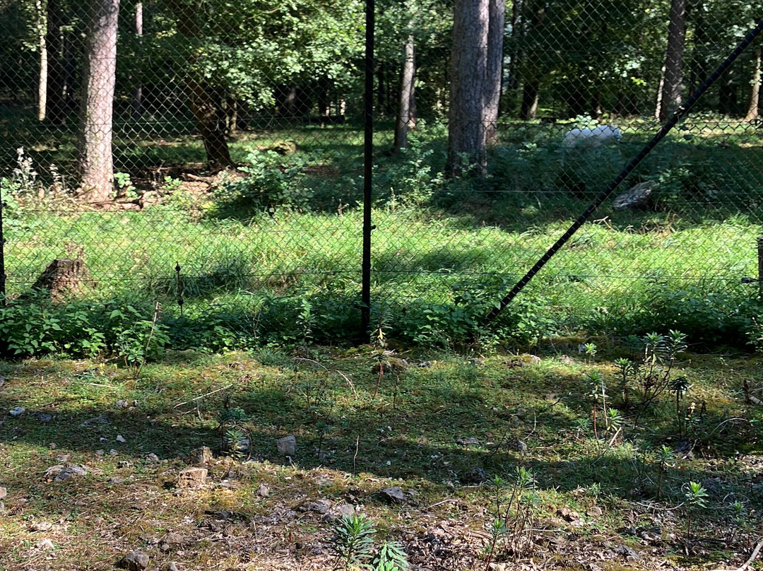 Wildtierpark景点图片