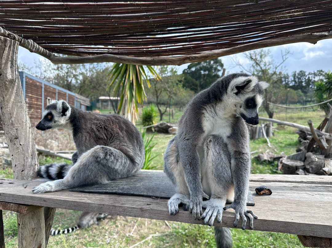 Corsica Zoo-Olmeta di Tuda必去景点