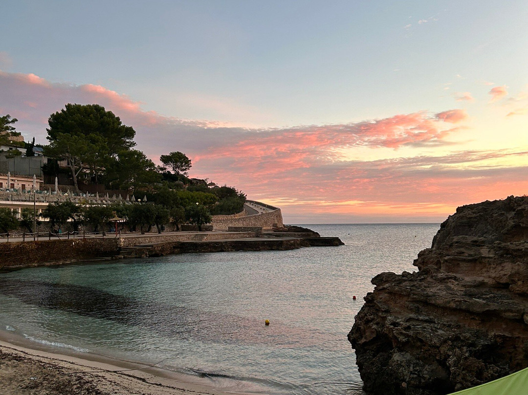 Hostal Los Pinos主图