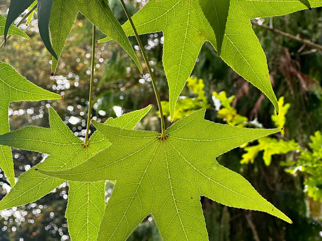 Parque Natural Señorío de Bertiz-Oieregi必去景点
