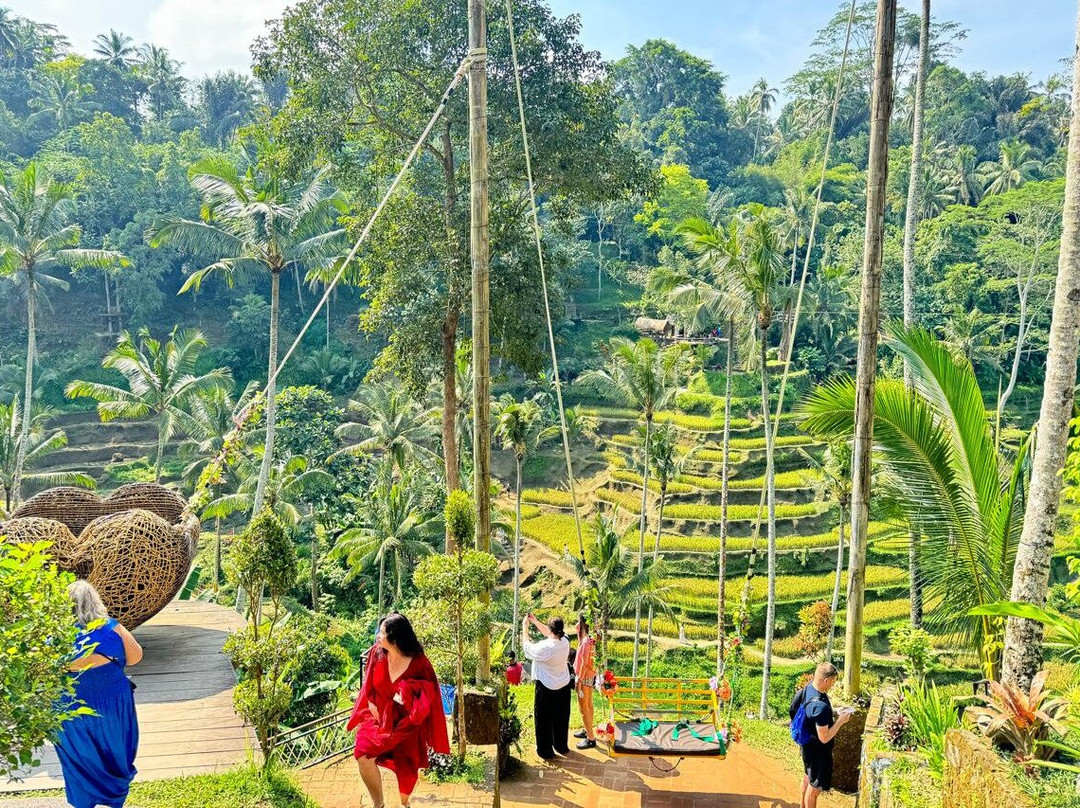Travel Point Bali景点图片