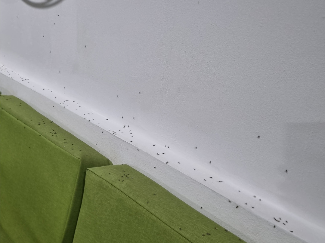 Hotel Natural Hill's By H&R主图