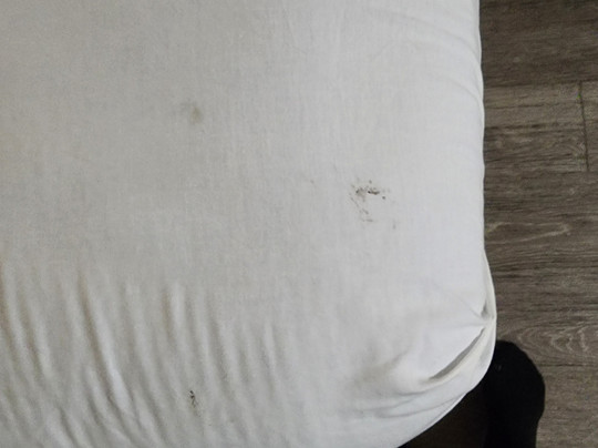 Econo Lodge Inn & Suites主图