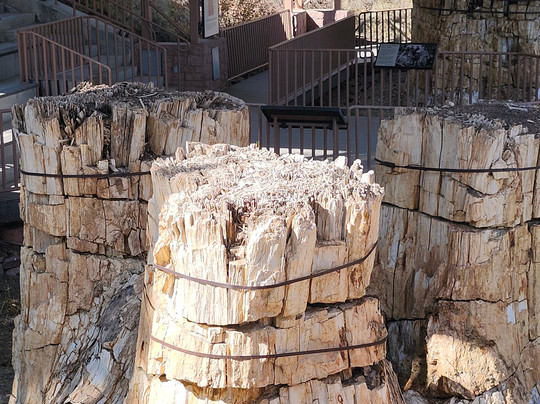 Florissant Fossil Beds National Monument-Florissant必去景点