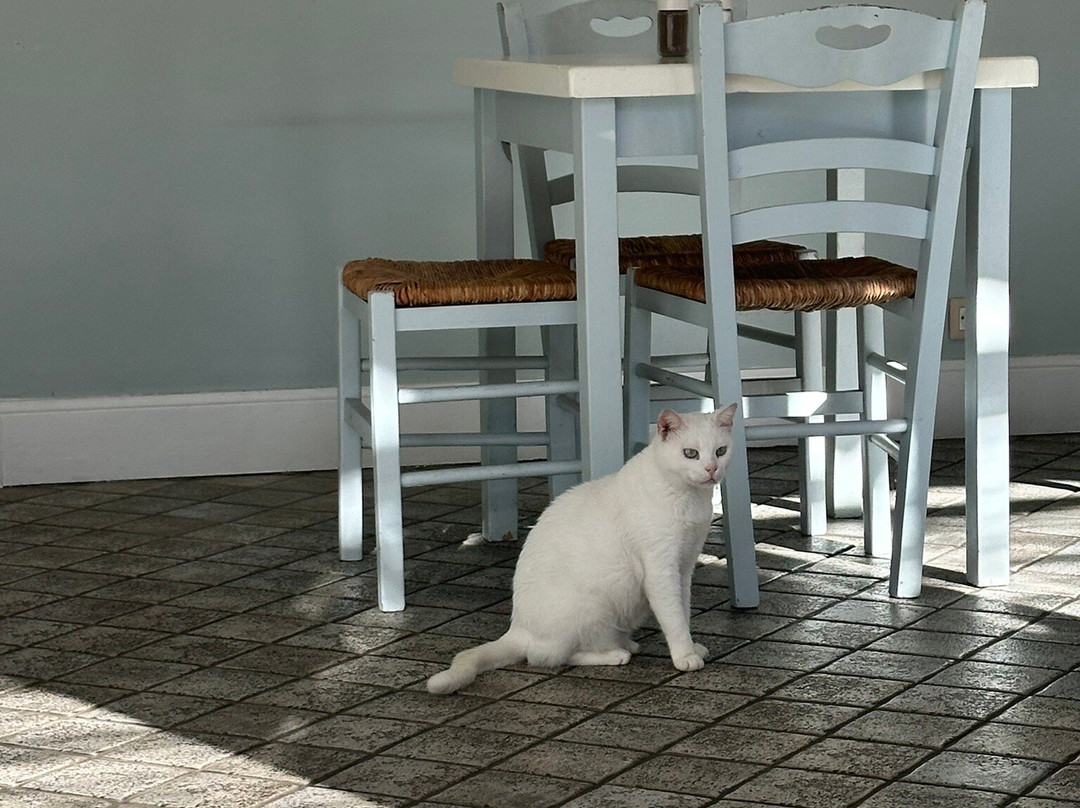 Zefiros Hotel Corfu主图