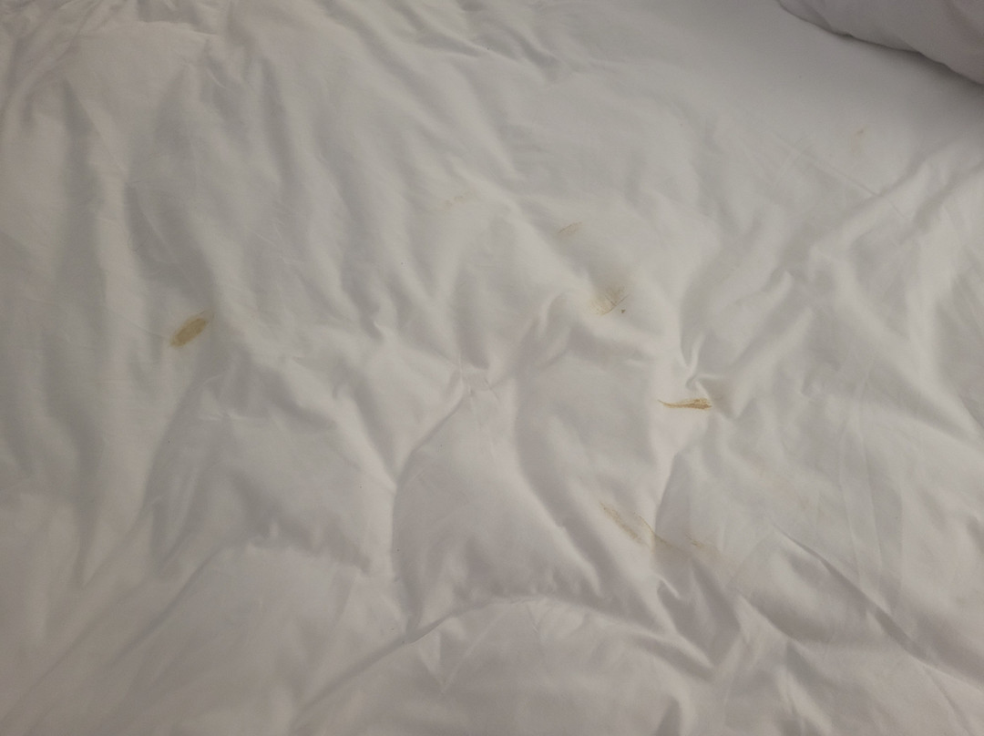 Courtyard by Marriott Cincinnati Blue Ash主图