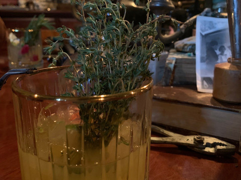 Arboretum-诺威奇必去景点