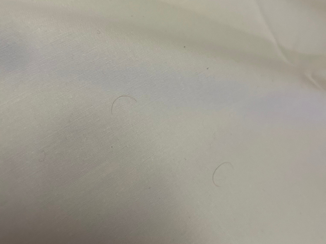 La Rondinaia in Eurocongressi Hotel主图