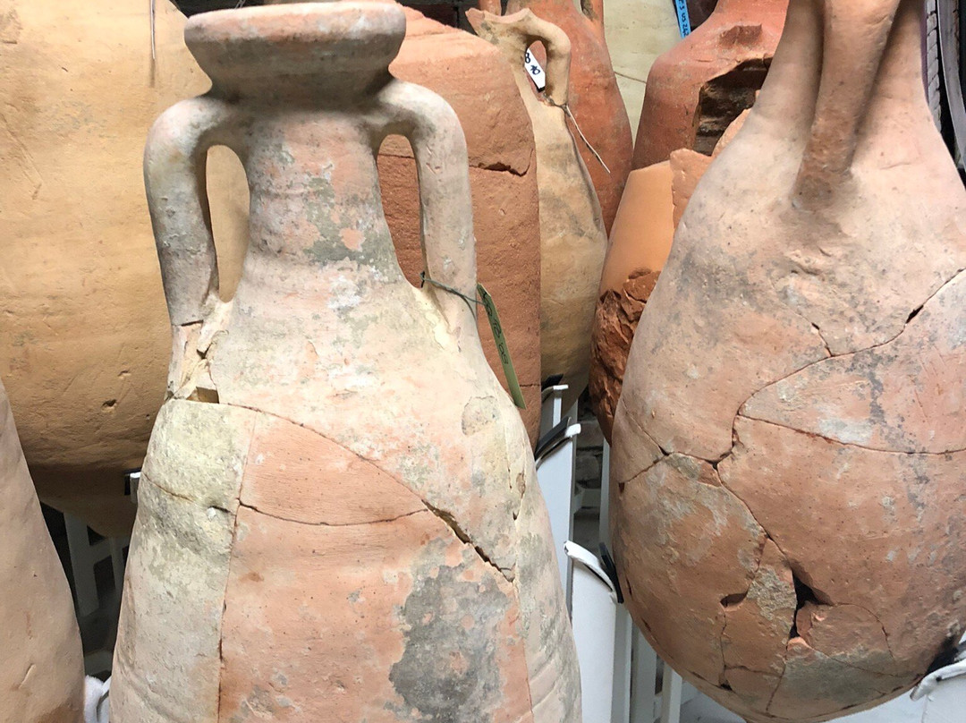 Museo Archeologico di Acqui Terme景点图片