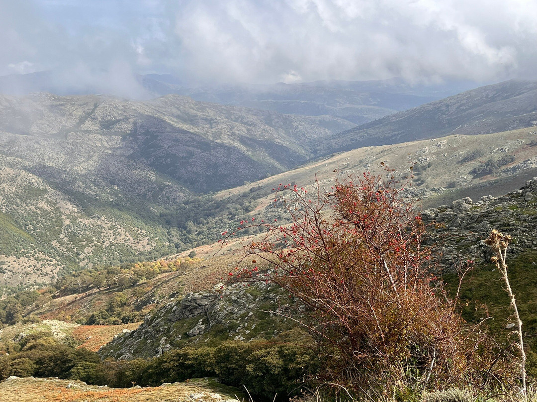 Bruncu Spina Et Punta Lamarmora