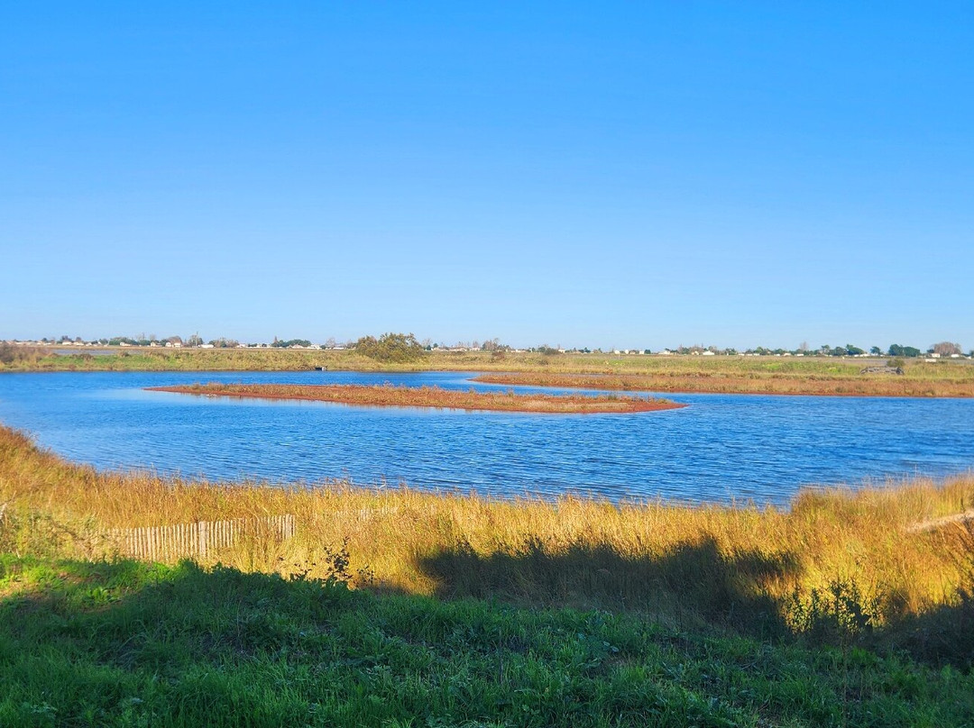 Rade d'Amour-La Faute sur Mer必去景点