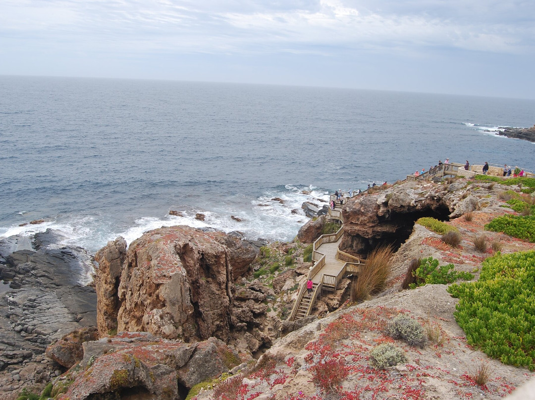 Admirals Arch-袋鼠岛必去景点